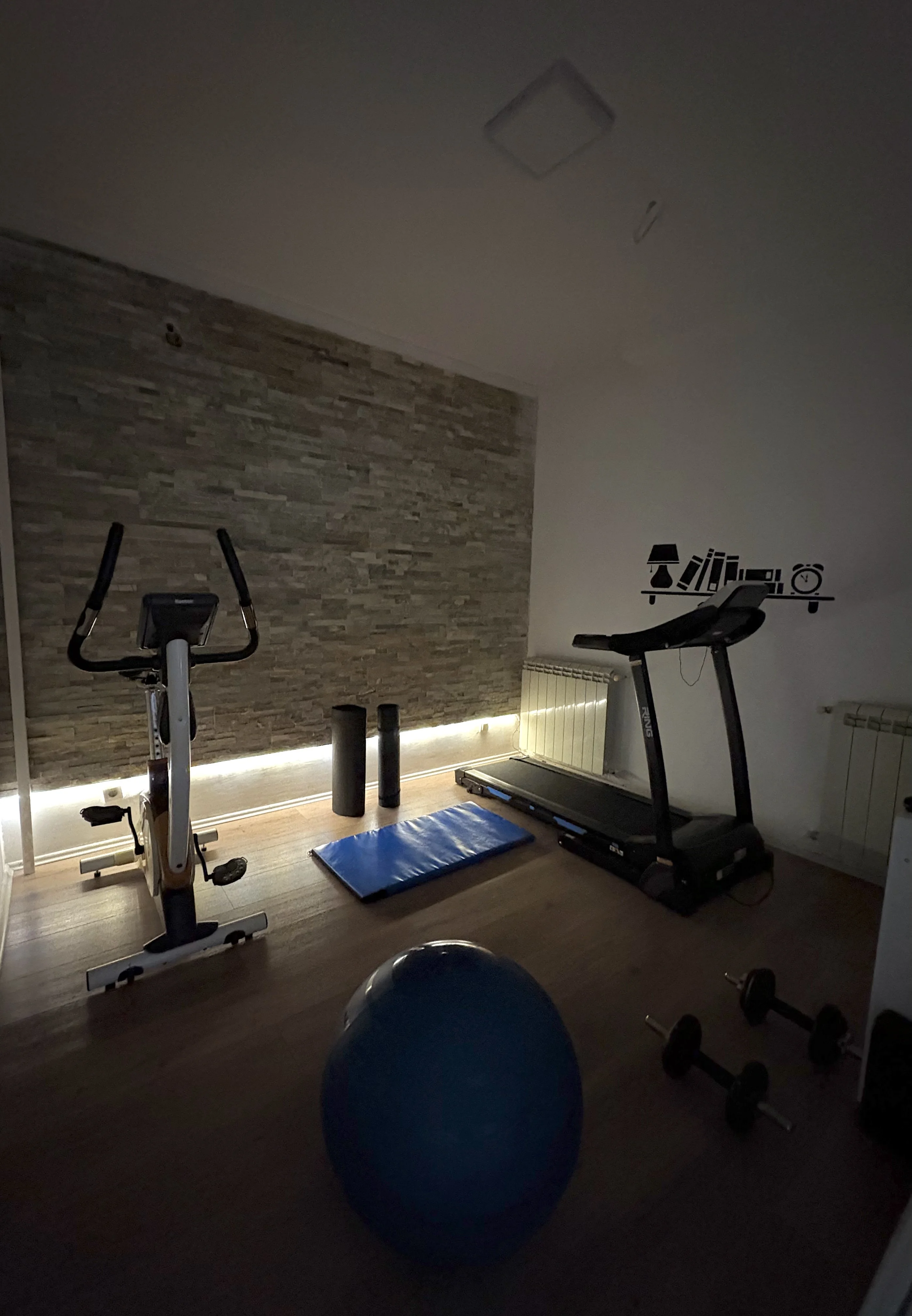 Fitnes zona hotela Mini City Zemun